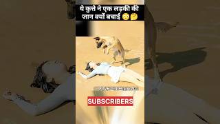 Ye dog ne apni sis ki jaan bachayi 🥺 dog dogshorts movie yt ytshots [upl. by Arjun123]