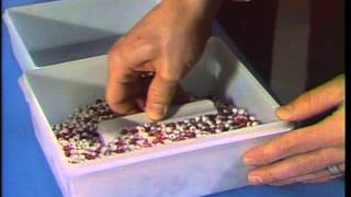 Red Bead Experiment with Dr W Edwards Deming [upl. by Fabiolas]