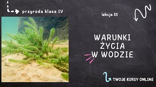 Przyroda klasa 4 Lekcja 33  Warunki życia w wodzie [upl. by Mouldon966]