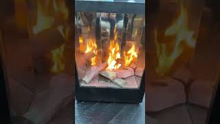 Sacramento Fireplace Video [upl. by Anailuj]