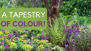 23 stunning ground cover plants  create a tapestry of colour and texture in difficult places [upl. by Annah]