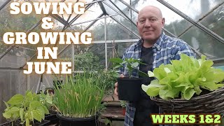 Sowing amp Growing In June Week One amp Two 2023 Gardening Allotment UK Grow Vegetables At Home [upl. by Hevak]