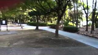 液状化幕張 liquefaction by earthquake on Japan 2011 [upl. by Idalia]