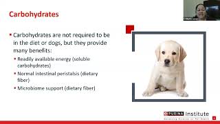 Puppy Nutrition Webinar Key Nutrients That Support Development [upl. by Nadual189]