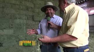 TIERRA FERTIL Ganado lechero en Querétaro 19 de julio 2014 [upl. by Glogau858]