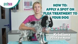 How To Apply A Spot On Flea Treatment To Your Dog PDSA Petwise Pet Health Hub [upl. by Redle]