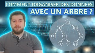 Comment organiser des données avec un arbre ABR Arbre RougeNoir BTree exemples [upl. by Oaks480]