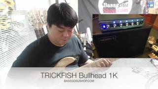 TRICKFISH BULLHEAD 1k [upl. by Kale]