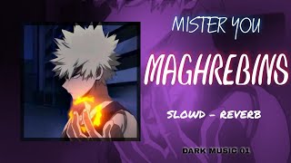 MISTER YOU  MAGHREBINS  SLOWD  REVERB DARKMUSIC01 [upl. by Dennis]