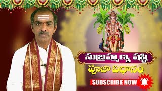 Sri Subramanya Swamy Pooja Vidhanam by Sri Vaddiparti Padmakar  సుబ్రహ్మణ్య షష్టి రోజు ఇలా చేయండి [upl. by Berkow]