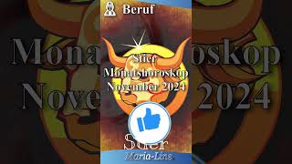 Stier BERUF 👷‍♀️ Horoskop November 2024 [upl. by Valenta]