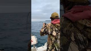 Bay of Islands Snapper on a slow jig bayofislands fishing slowjig boatlife rayglass [upl. by Subocaj]