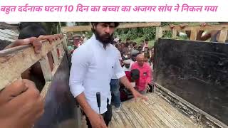 10 sal ke baccha ke ajgar ne nigal gaya bacche achcha se rakhe vhae sab esh video ko seyar kare [upl. by Sig]