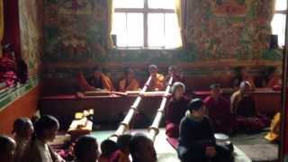 Tibetan Buddhist monks chanting in monastery in Nepal during a special puja [upl. by Ronica]