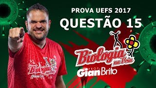 O IMPULSO NERVOSO  PROVA UEFS 2017 QUESTÃO 15 [upl. by Annaili836]