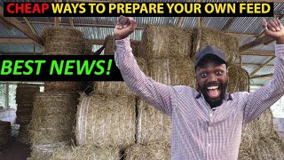 Cheap Way To Feed Your Goats Sheep amp Cows  Learn How To Prepare Your Feed [upl. by Jeminah743]