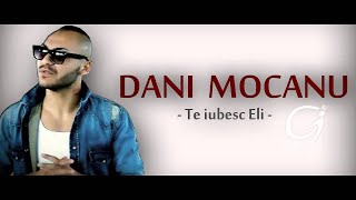 DANI MOCANU  Te iubesc Eli  Official Audio [upl. by Eirrod740]