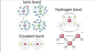 Bonding monomers and polymers AQA A Level Biology [upl. by Dunning]