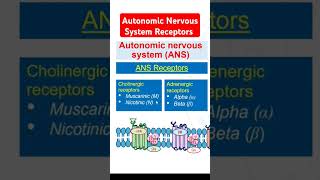 Autonomic Nervous System Receptors [upl. by Kiah338]