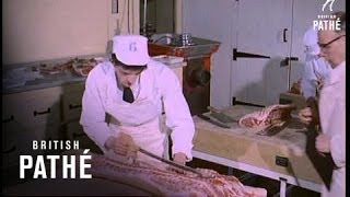 Apprentice Butchers 1960 [upl. by Odnarb]