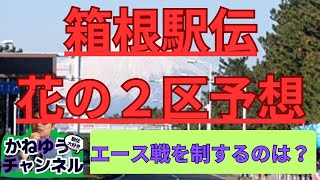 【箱根駅伝花の２区】エース達の対決100回箱根駅伝のエース戦を制するのは誰か 駒澤大学鈴木芽吹中央大学吉居大和國學院大學平林順天堂大学三浦など 箱根駅伝 駒澤大学 中央大学 [upl. by Lazare]