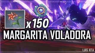 Transmutador paramétrico ◈「 Margarita voladora 」 Genshin Impact [upl. by Aerb]