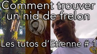 Trouver et reconnaître un nid de frelons européen  Les tutos dEtienne  1 [upl. by Ahsaenat469]