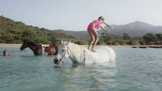 Balade baignade à cheval en Corse du Sud avec le CLG ranch [upl. by Augustus]