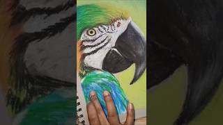 Realistic oil pastel drawing of parrot shorts youtubeshorts trending [upl. by Colman]