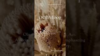 OODA Loop [upl. by Oreste]