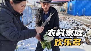 刺老芽家白菜冻成冰坨！砍两颗回家蘸酱吃，东北特色美食！ [upl. by Arem]