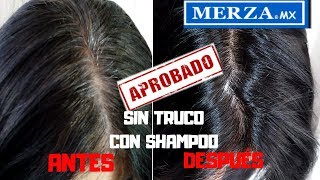 CÓMO ELIMINAR LAS CANAS CON SHAMPOO INCREÍBLESHAMPOO MERZA PINTAKANAMelinaMakeup [upl. by Hurless]