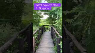 Most explores stop in Gurgaon trendingaudio viralreels exploremore gurgaon aravali ytviral [upl. by Aikkin]