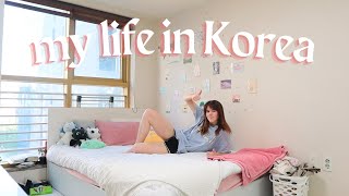 A day in the life of an English teacher in Korea 2024 edition [upl. by Lareine9]