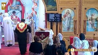 Sunday Divine Liturgy Aug 4 2024 [upl. by Amsed]