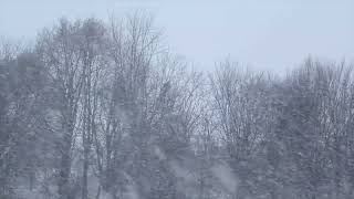 8 Hours of Blizzard and Wind Howl Sounds for Sleep Study and Relaxation [upl. by Jeane]