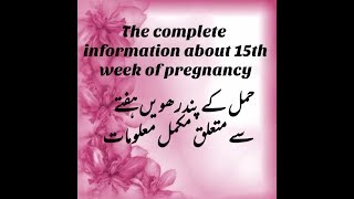 Pregnancy At 15TH Week  TheComplete Mothers Guide About 15th Week Of Pregnancy [upl. by Ravilob]