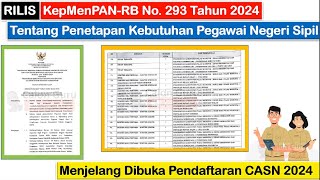 RILIS KepMenPANRB No 293 Tahun 2024 Tentang Penetapan Kebutuhan Pegawai Negeri Sipil Tahun 2024 [upl. by Wein]