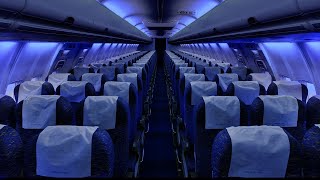 Airplane Cabin White Noise Jet Sounds  Great for Sleeping Studying Reading amp Homework  10 Hours [upl. by Lleret68]