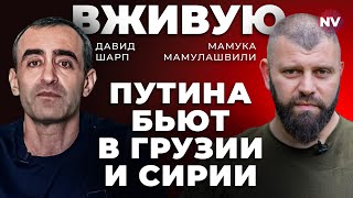 Путина бьют в Грузии и Сирии – Мамулашвили Шарп вживую [upl. by Engeddi487]