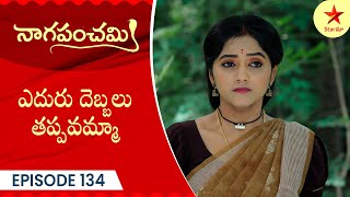 Naga Panchami  Episode 134 Highlight  Telugu Serial  StarMaa Serials  Star Maa [upl. by Alegre834]