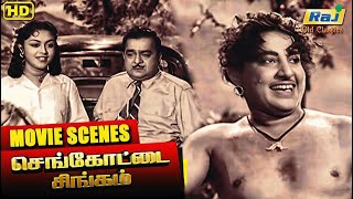 என்னை பார்த்தா சிங்கம் மாதிரி தெரியலையா  SenKottai Singam  Udaykumar  Saroja  Raj Old Classics [upl. by Spragens]