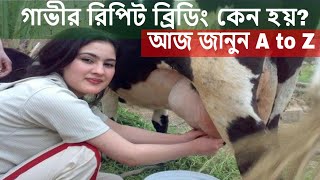 গাভীর রিপিট ব্রিডিং কেন হয়  পরামর্শ দিচ্ছেন ডাঃ মেহেদী হাসান  Cows repeat breeding [upl. by Tallia]