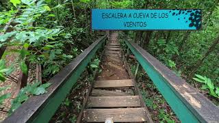 GUAJATACA FOREST ISABELA PUERTO RICO 2024 4K INSTA360 ACE PRO [upl. by Ynaffet]