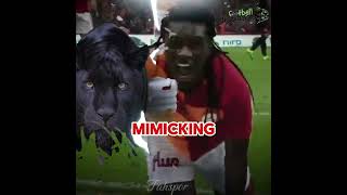 Bafetimbi Gomsi scariest jaguar celebrationfootballeditsshorts [upl. by Oidualc]