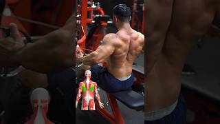 BACK WORKOUT ROUTINE  2 Exercises for a Wider Back [upl. by Arotahs696]