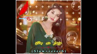 mazedar da janan pashto new song pashto tapey slow  reverb [upl. by Ettenim]