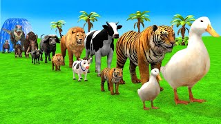 Paint Animals Cow Duck Elephant Tiger Hippo Funny 3d Animal Transformation Crossing Fountain Game [upl. by Mott]