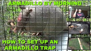 STOP ARMADILLO LAWN DAMAGE Easy Dillo Trap Build [upl. by Ellehcen]