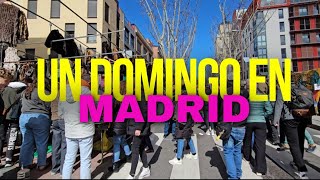 Mercado en el Rastro  MADRID Qué hacer un domingo en Madrid 🤔 [upl. by Herrle]